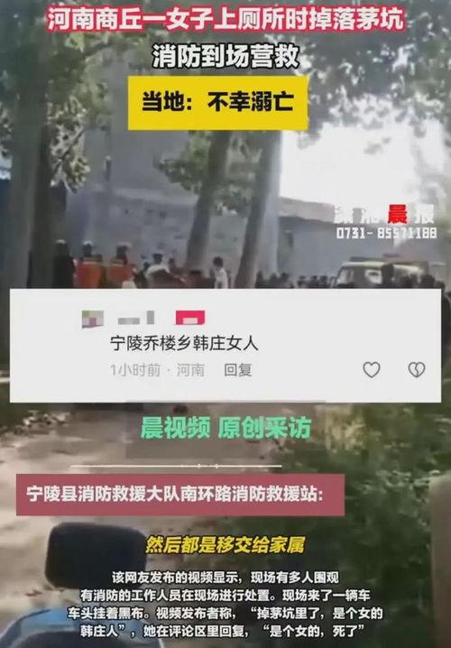 河南网友最新爆料,揭秘某神秘事件真相！